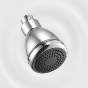 Overhead Shower Spice