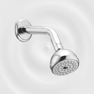 Bend Shower Dixcy